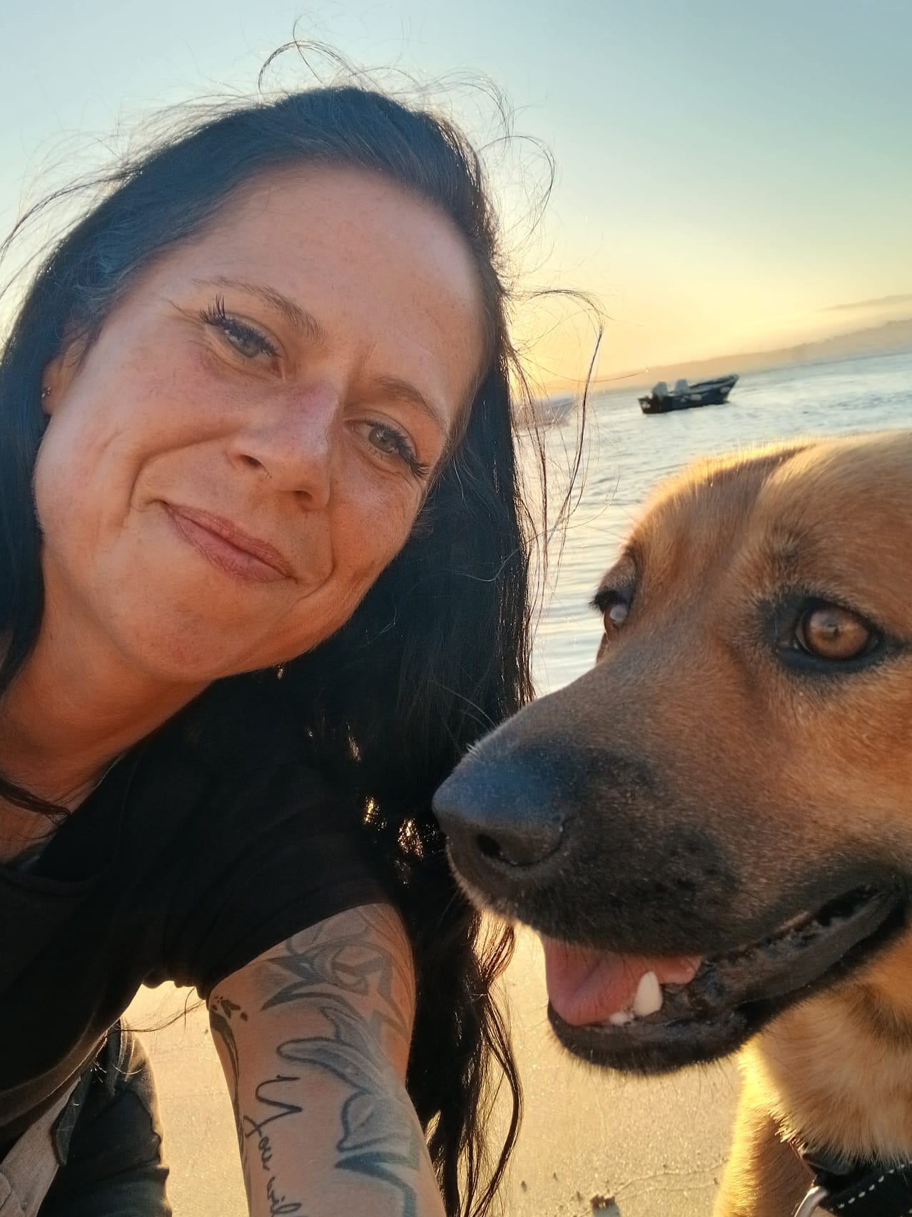 Dog training Almada