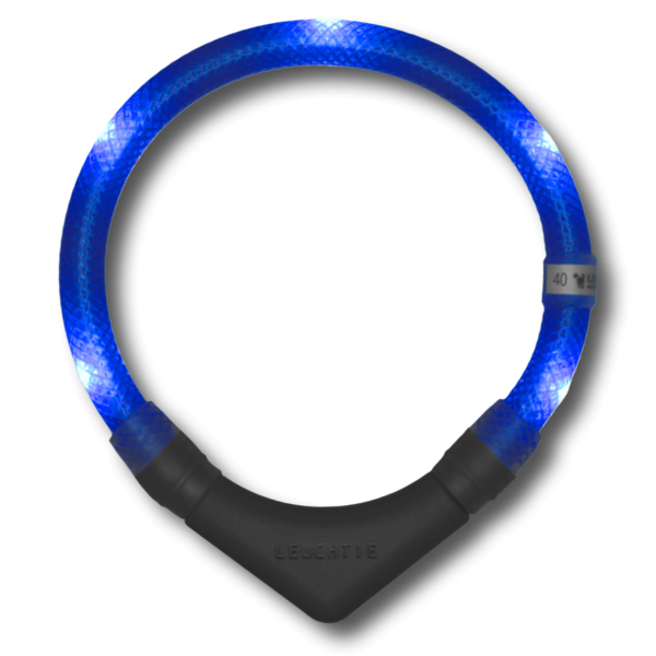 LED dog collar blue