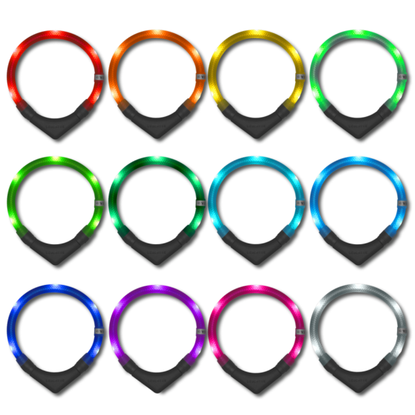 LED dog collar all colours