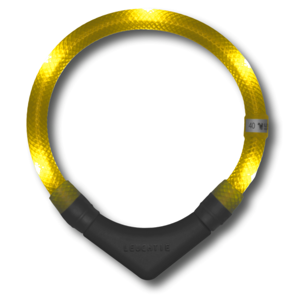LED dog collar yellow