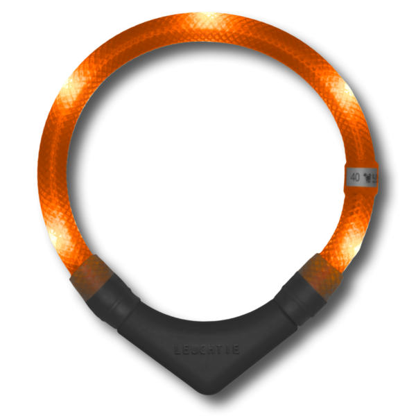 LED dog collar orange