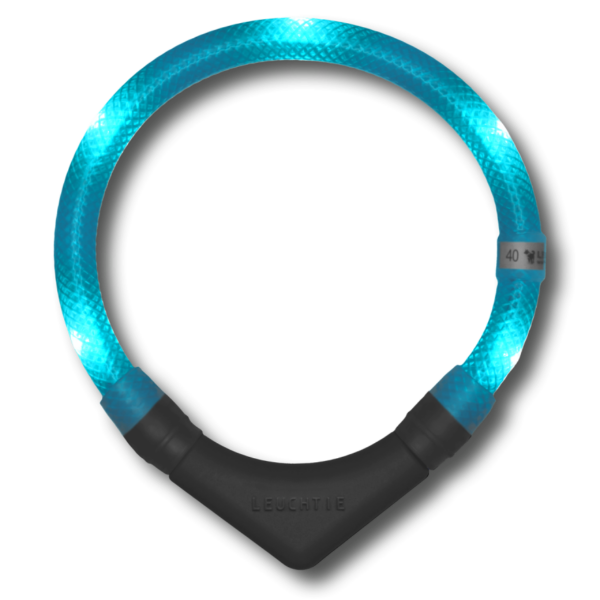 LED dog collar turquoise