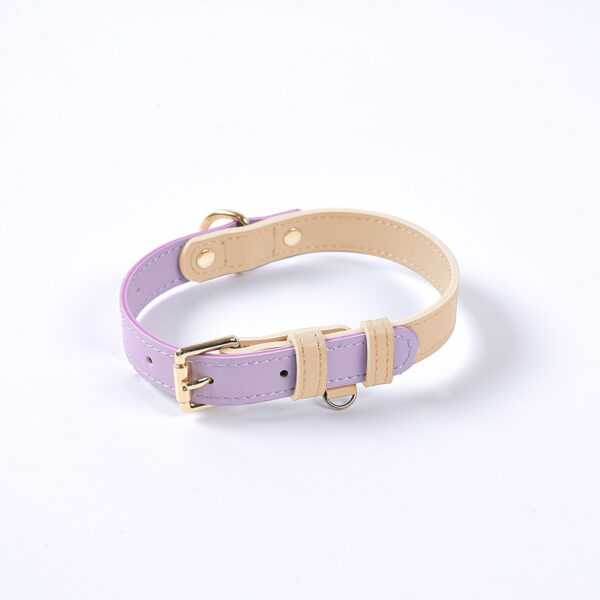 dog collar lavender