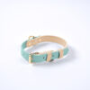 dog collar blue