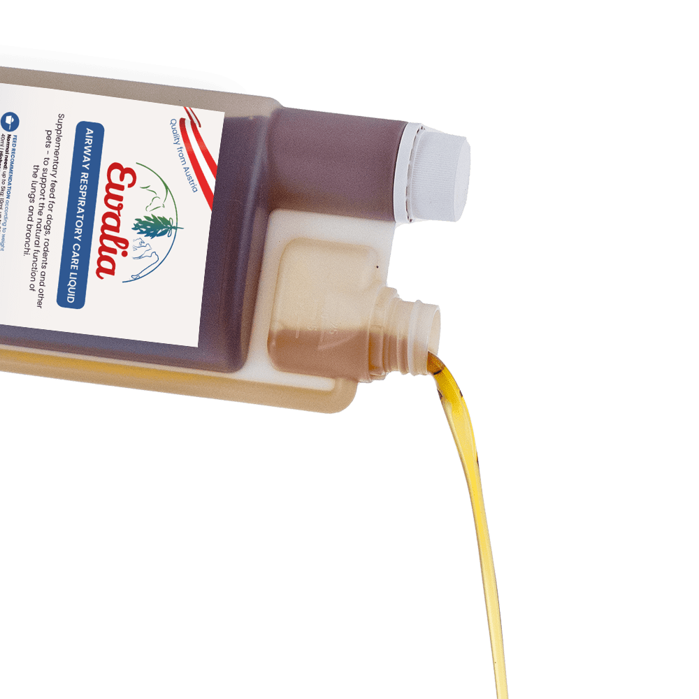 immune system booster