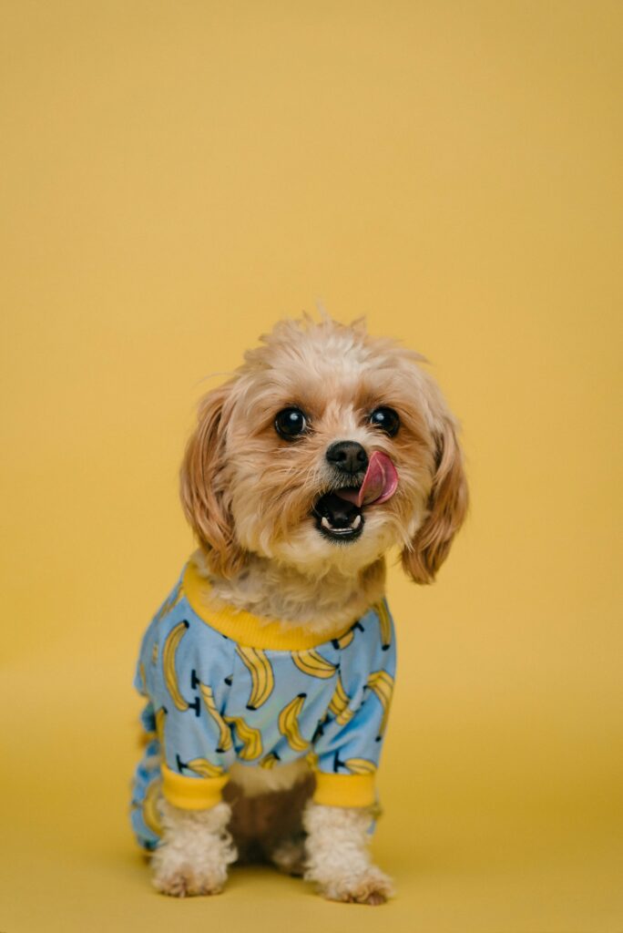 herbal liquids for dogs