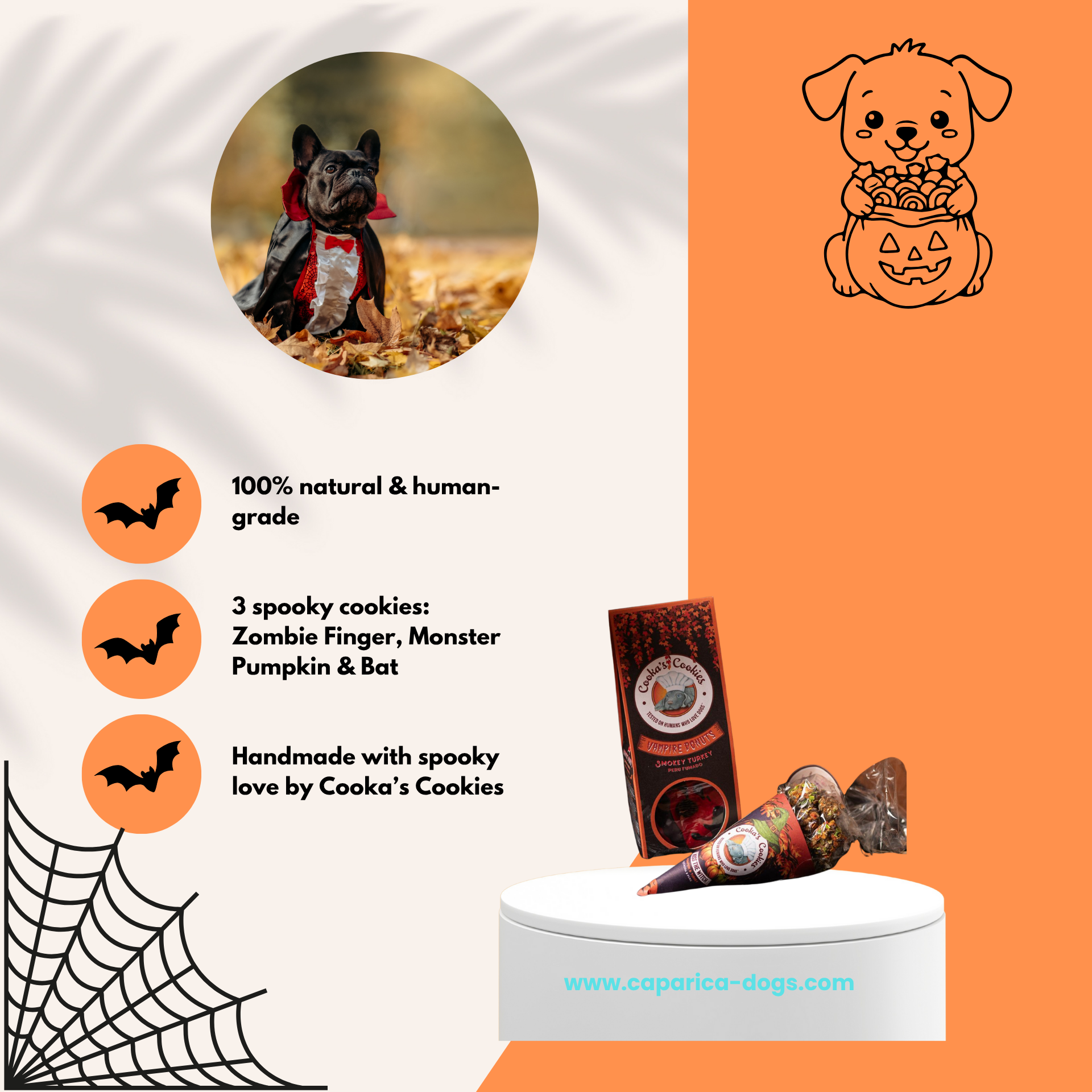 Spooky dog treats vampire