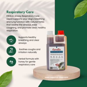 Respiratory care for dogs