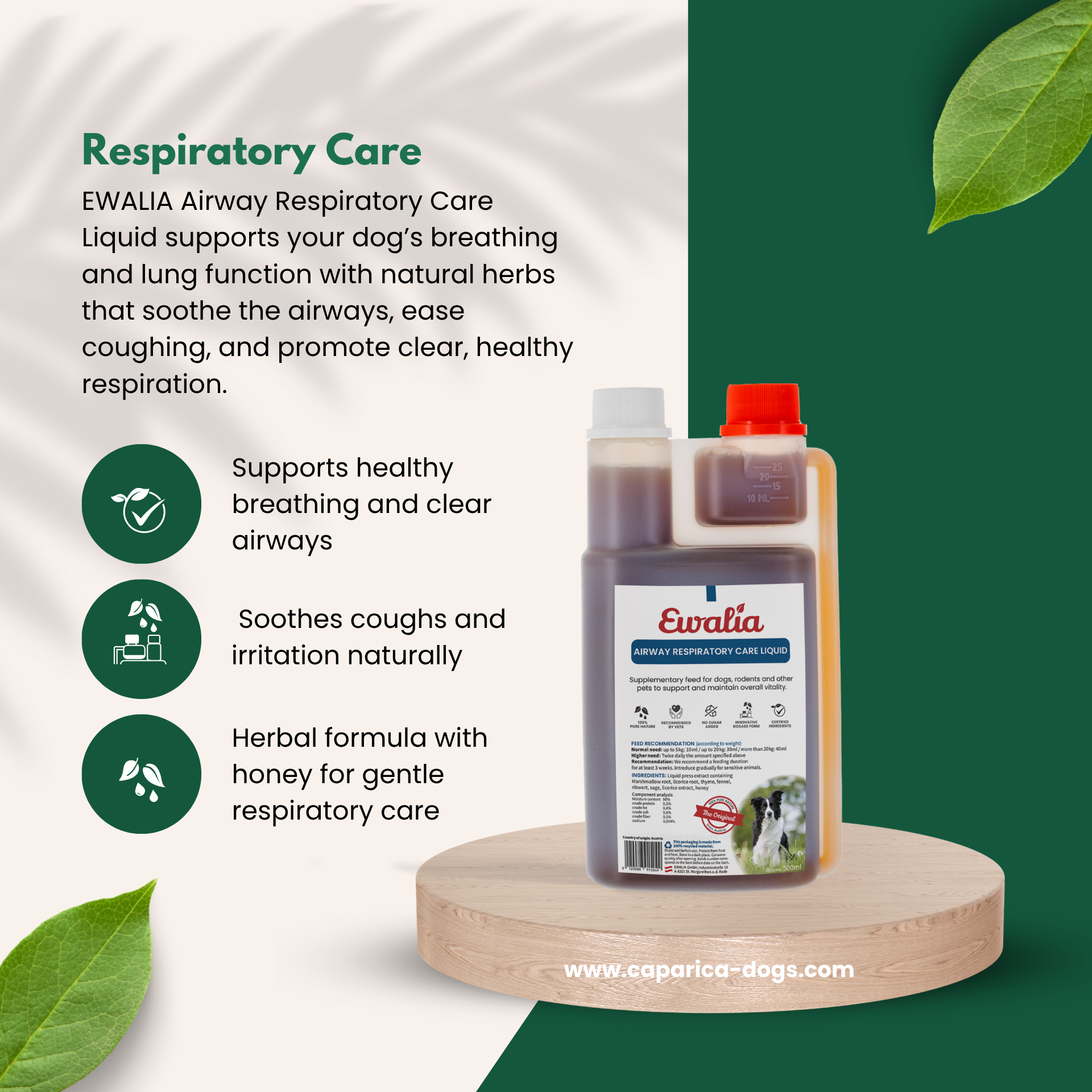 Respiratory care for dogs