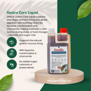 Dog digestive support