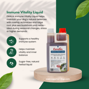 Immune support for dogs