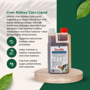 Dog liver and kidney support
